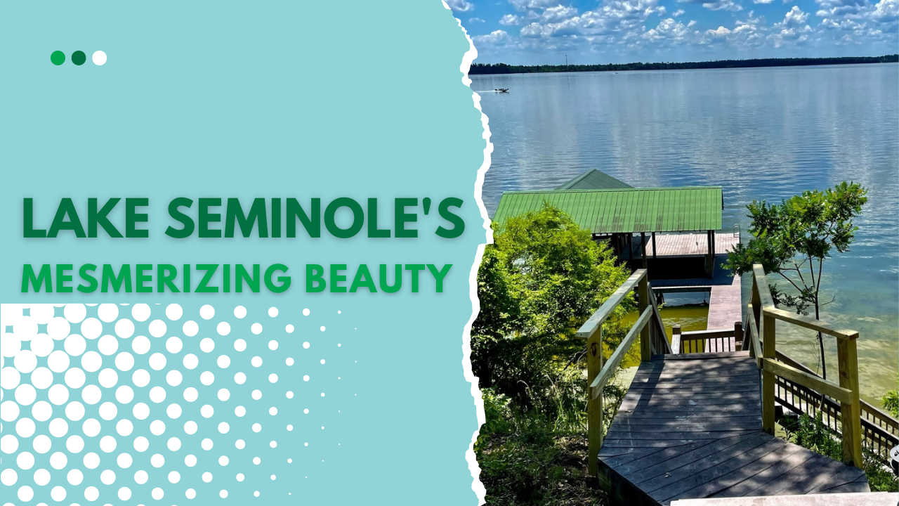 Unveiling the Hidden Gem: Your Guide to Lake Seminole's Mesmerizing ...